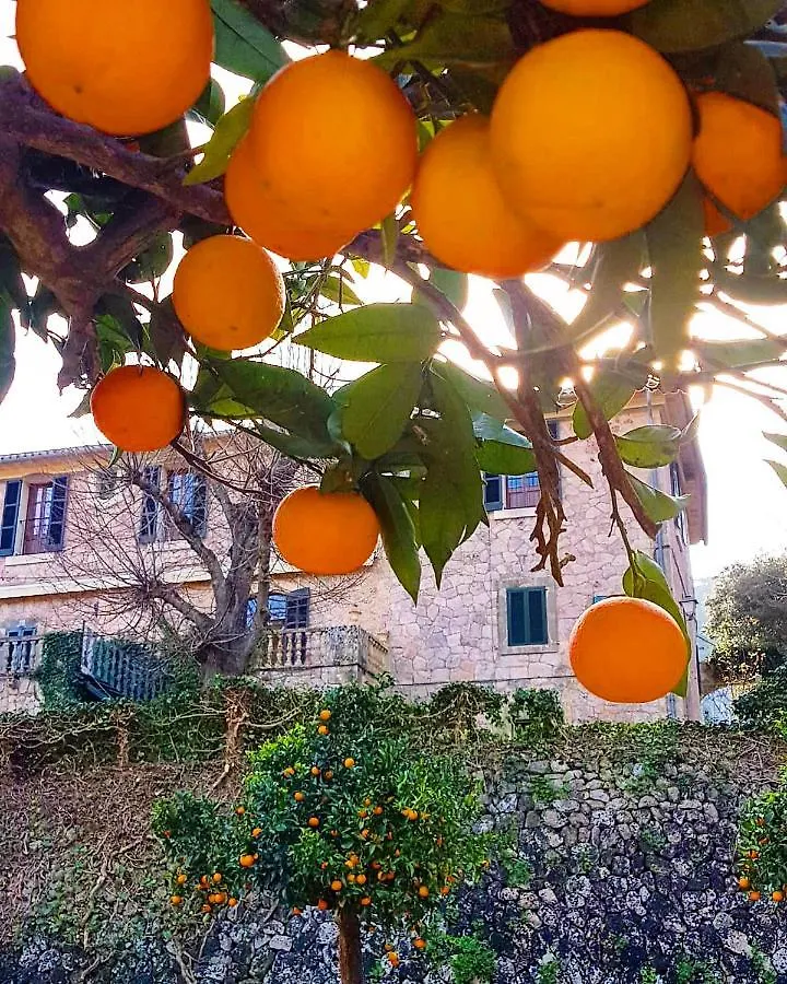 Finca Son Brondo Hostal Valldemossa  Valldemossa (Mallorca)